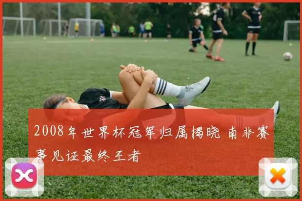2008年世界杯冠军归属揭晓 南非赛事见证最终王者